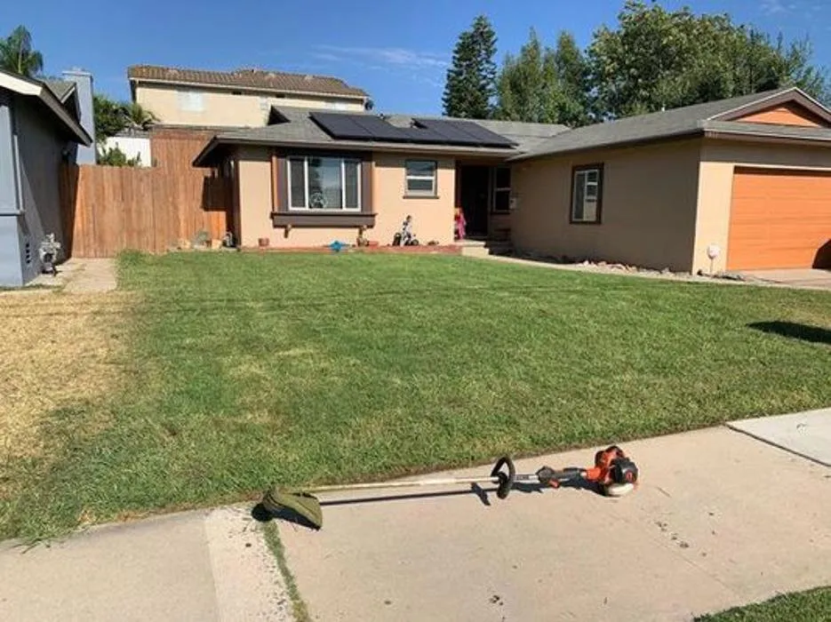 Expert yard maintenance in San Diego, CA - King's Landscaping & Maintenance