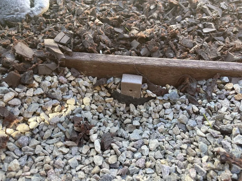 Expert residential landscaping in San Diego, CA by King's Landscaping & Maintenance