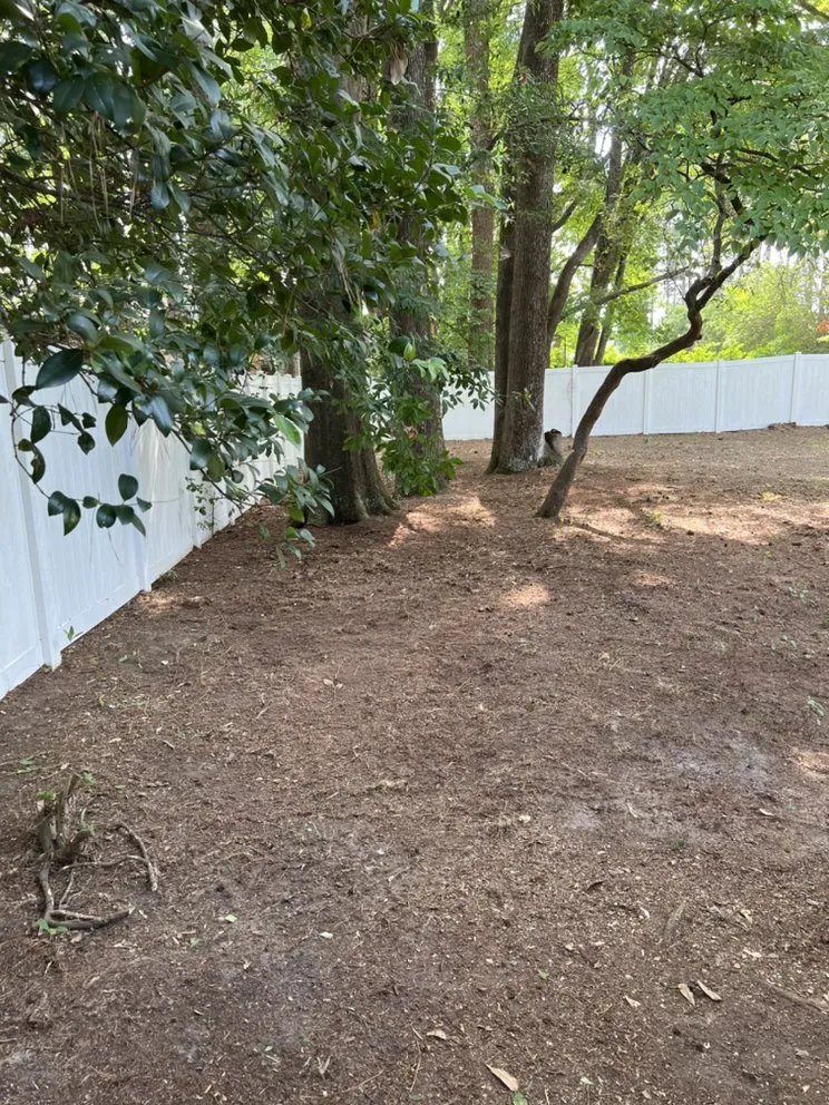 Affordable residential landscaping experts serving Fayetteville, NC - Kings landscaping 26