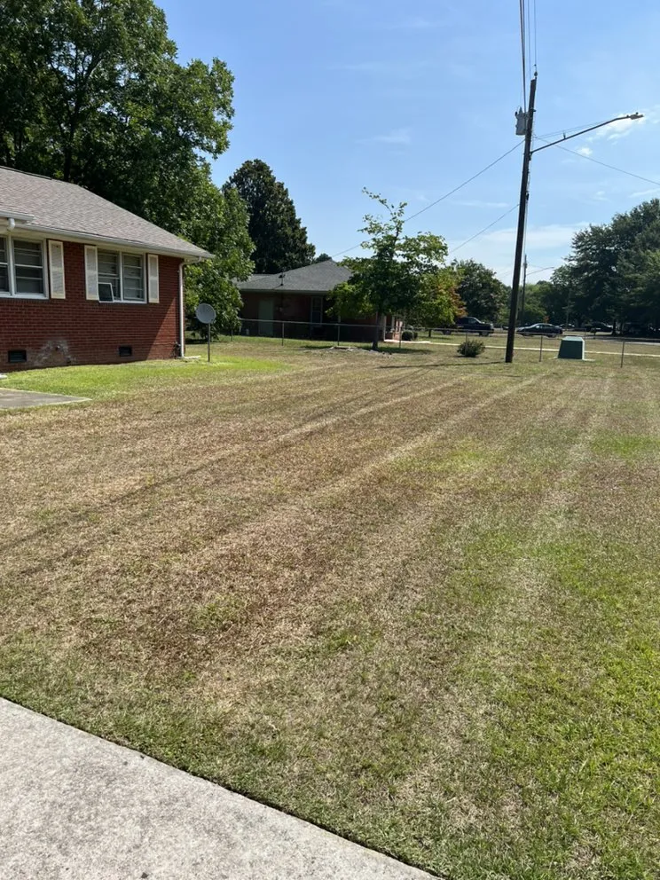 Affordable lawn mowing service experts serving Fayetteville, NC - Kings landscaping 26