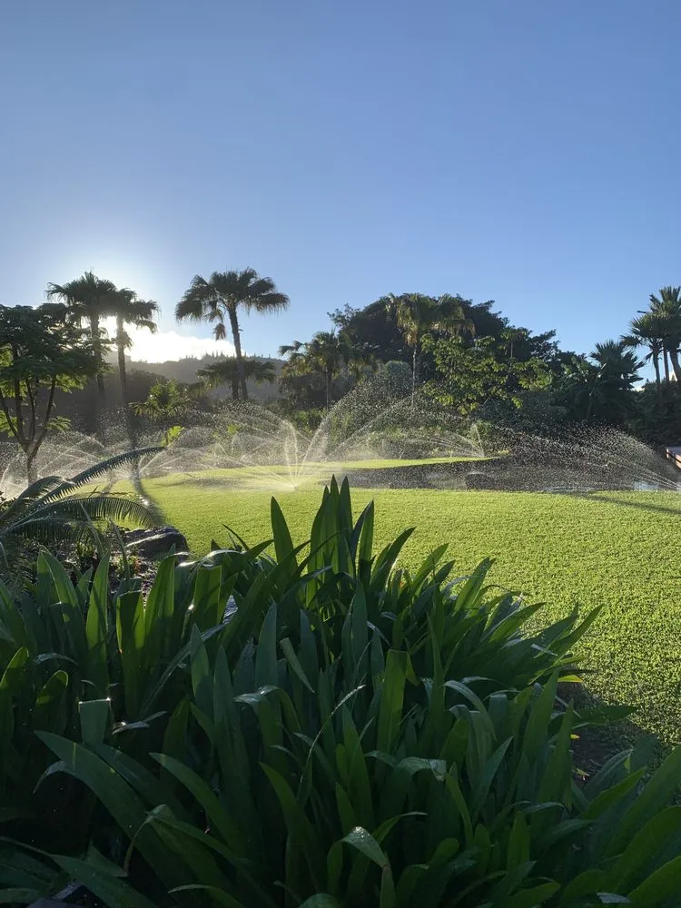 Reliable landscaping services with custom design across Wahiawa, HI - Kings landscaping and Yard Services