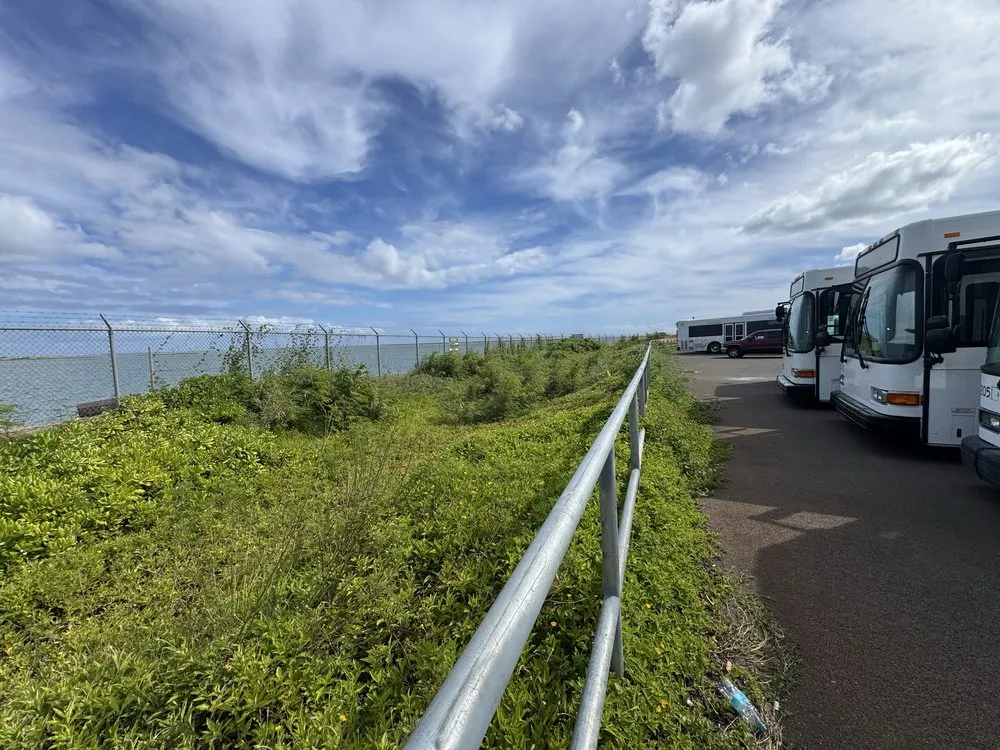 Professional lawn care service in Wahiawa, HI - Kings landscaping and Yard Services