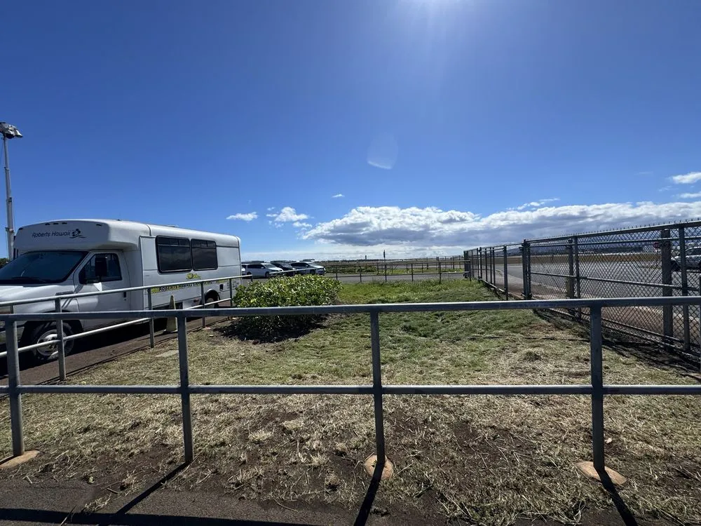 Top-rated landscaping services experts serving Wahiawa, HI - Kings landscaping and Yard Services