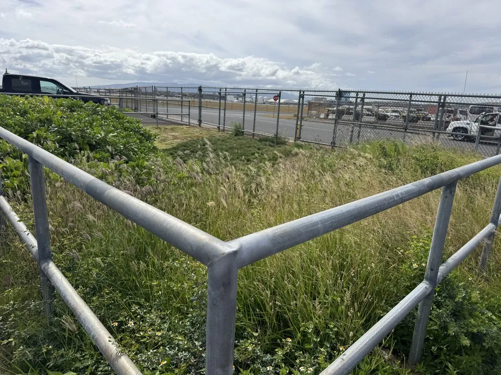 Custom lawn care service experts serving Wahiawa, HI - Kings landscaping and Yard Services