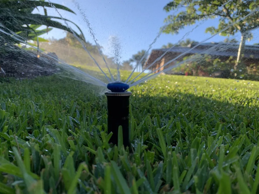 Professional residential landscaping in Wahiawa, HI by Kings landscaping and Yard Services