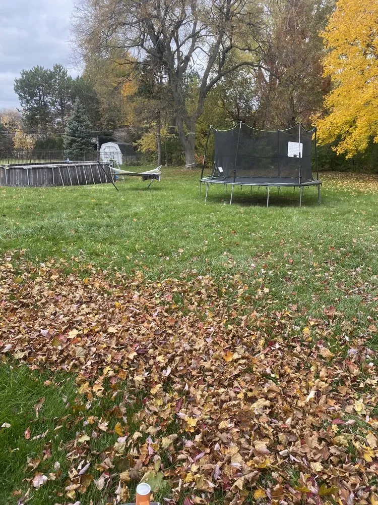 Expert outdoor landscaping with custom design in Arlington Heights, IL by Kings Landscaping