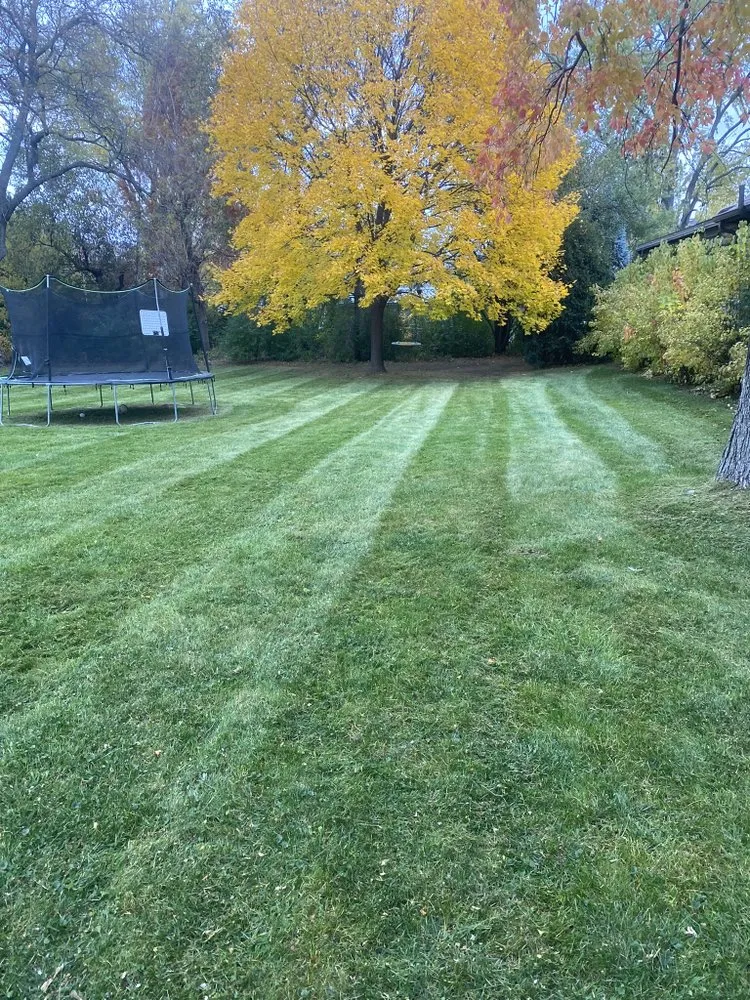 Custom outdoor landscaping for residential properties across Arlington Heights, IL - Kings Landscaping