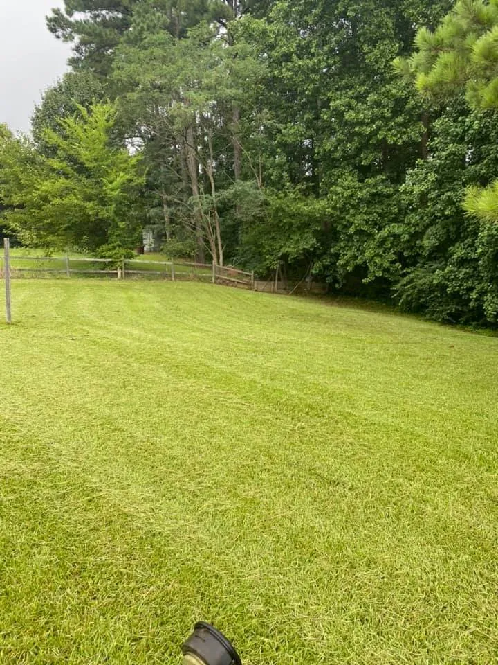 Expert lawn care service for year-round maintenance across Hope Mills, NC - King's Landscaping