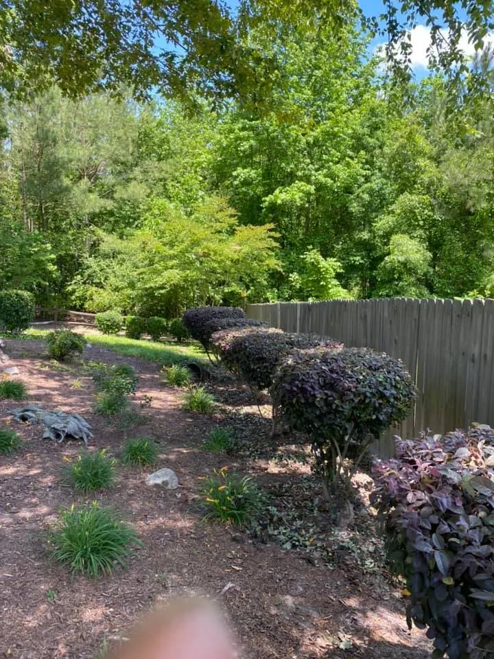 Expert outdoor landscaping experts serving Hope Mills, NC - King's Landscaping