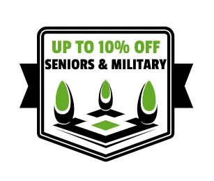 Trusted yard maintenance with custom design in Hope Mills, NC by King's Landscaping