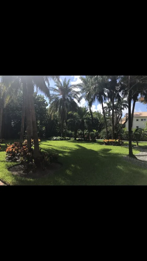 Expert landscape design in Miami, FL - King's Landscaping