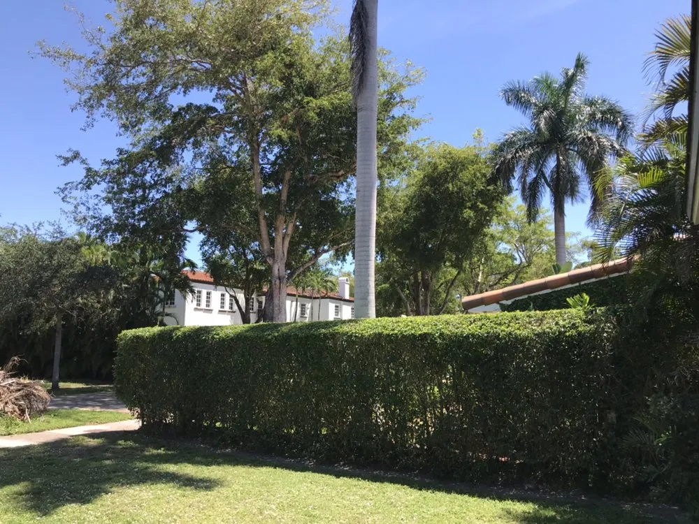 Local outdoor landscaping for outdoor upgrades across Miami, FL - King's Landscaping