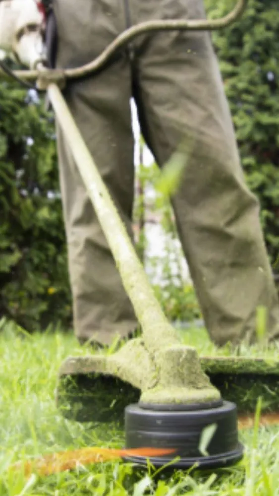 Professional lawn mowing service experts serving Oshkosh, WI - Kings Landscaping