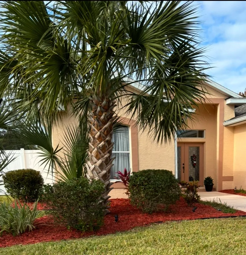 Reliable lawn care service in Palm Coast, FL - Kings Landscaping Services