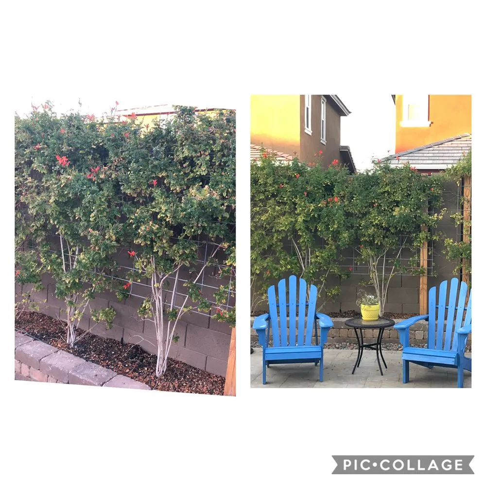 Trusted residential landscaping experts serving Hendersonville, NC - King’s Landscaping Solutions