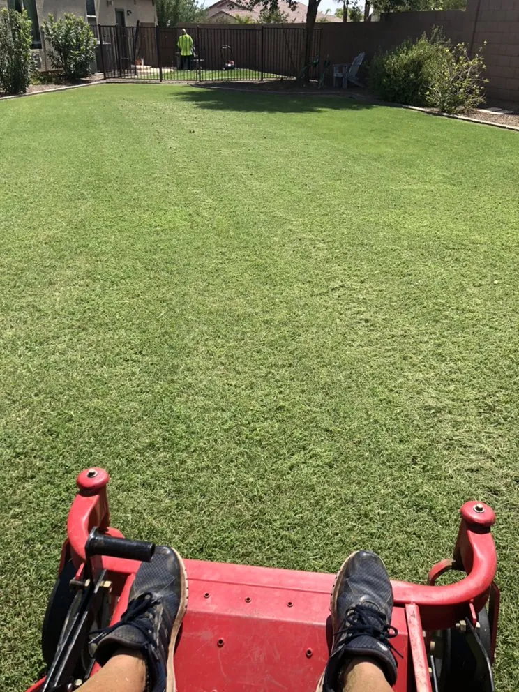 Top-rated landscaping services in Hendersonville, NC by King’s Landscaping Solutions