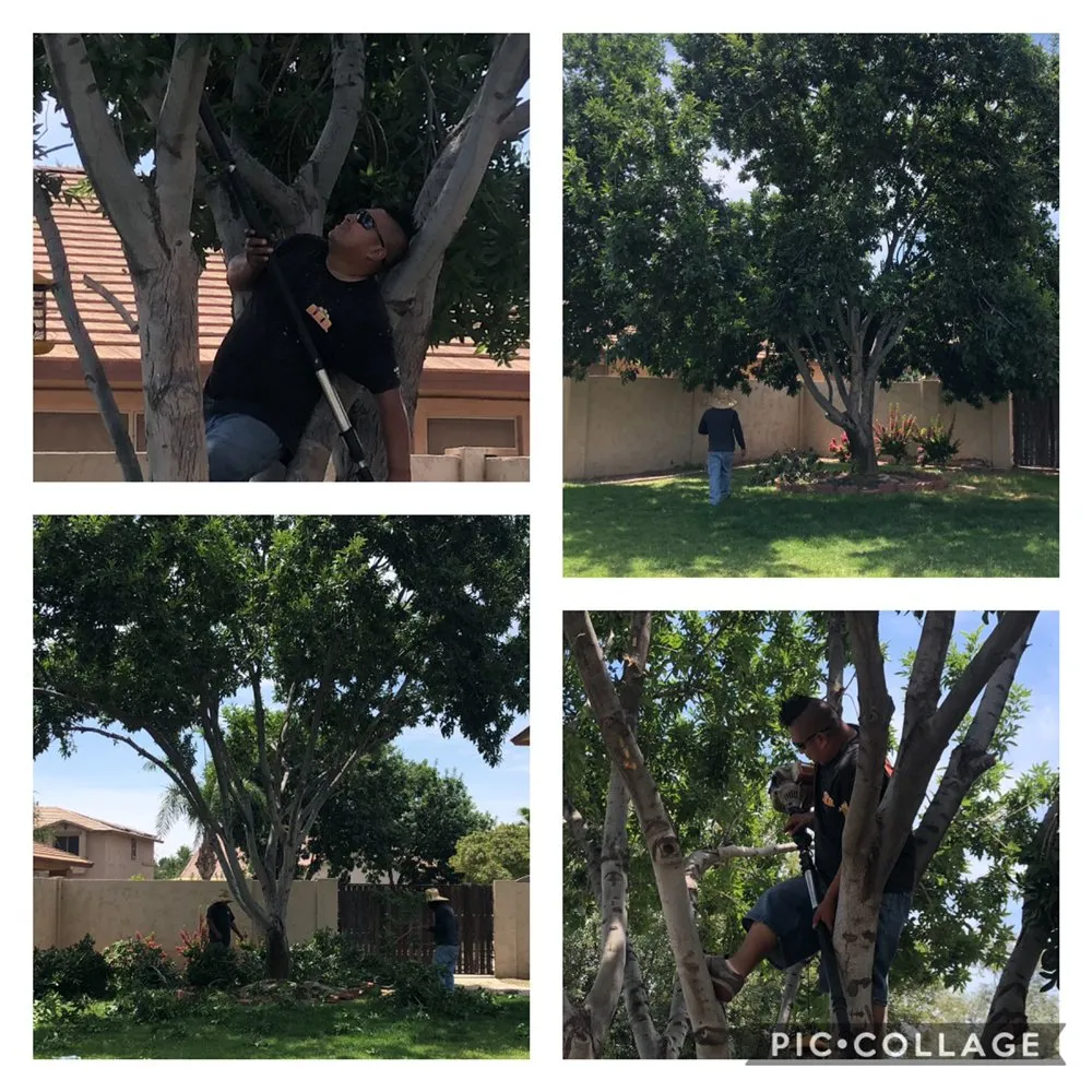 Professional garden landscaping with custom design across Hendersonville, NC - King’s Landscaping Solutions