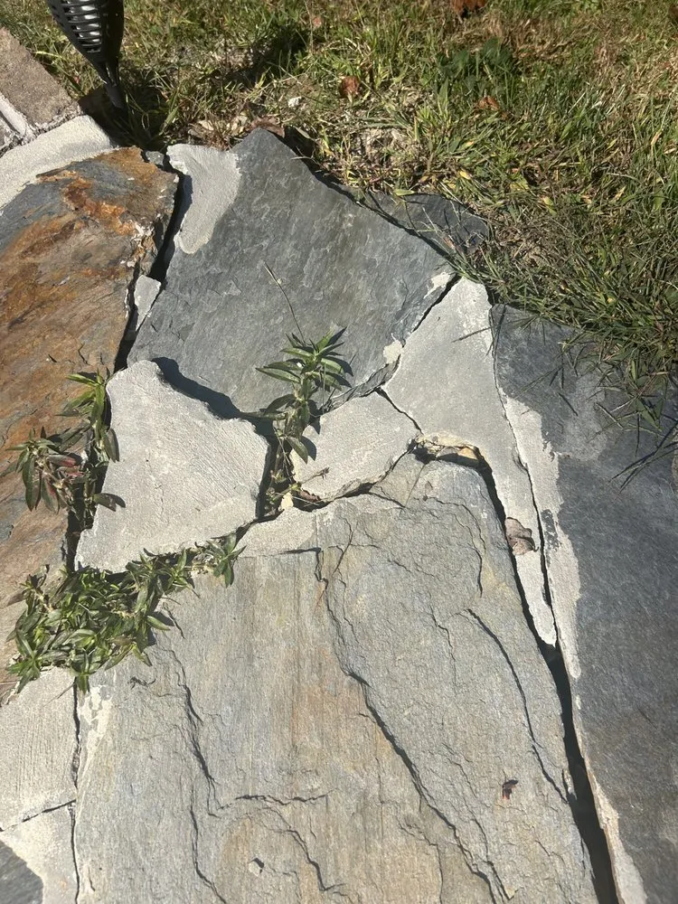 Local lawn care service for year-round maintenance across Hendersonville, NC - King’s Landscaping Solutions