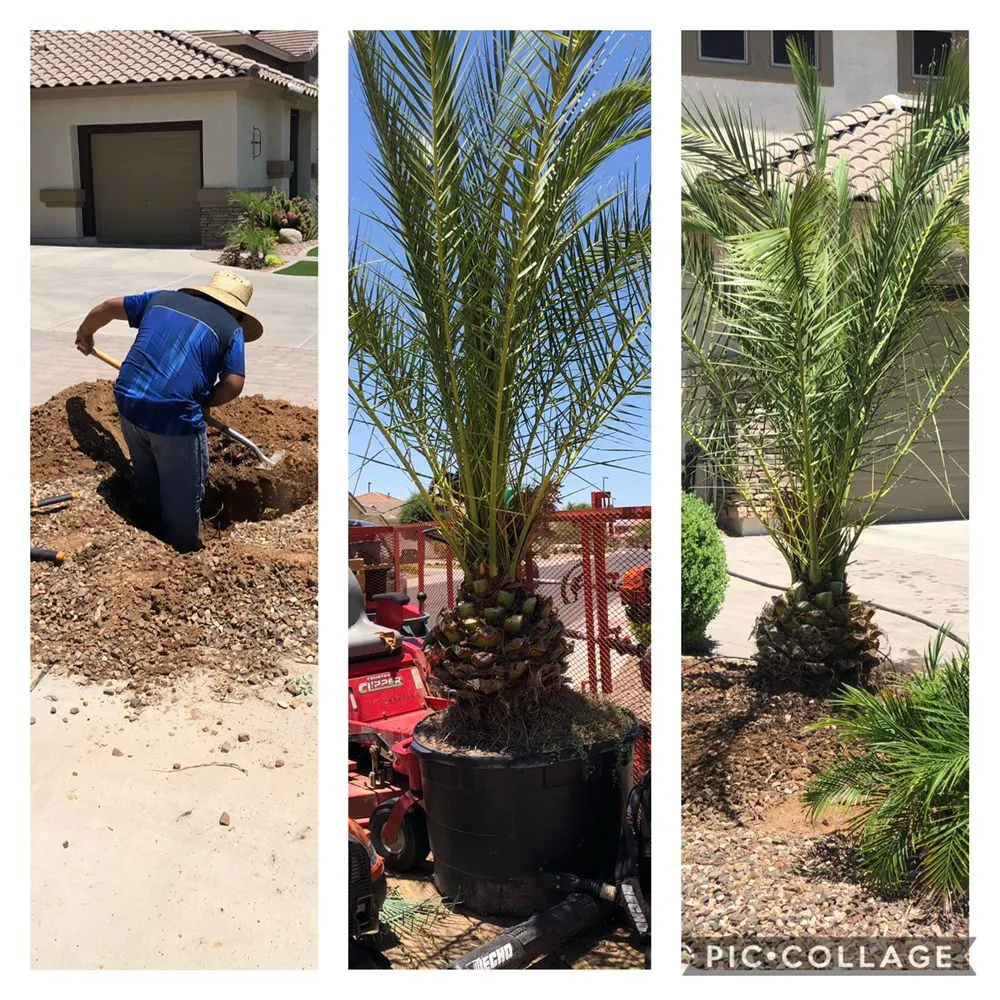 Expert outdoor landscaping for year-round maintenance across Hendersonville, NC - King’s Landscaping Solutions