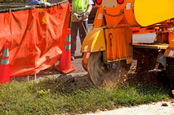 Kings Landscaping Logo