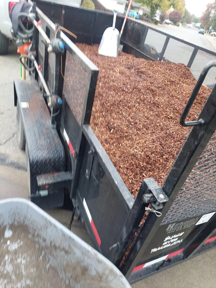 Local yard cleanup service for residential properties across White City, OR - Kings Landscaping