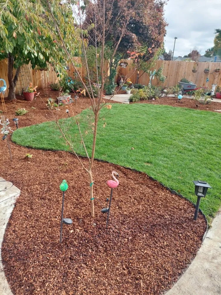 Reliable landscape design in White City, OR by Kings Landscaping