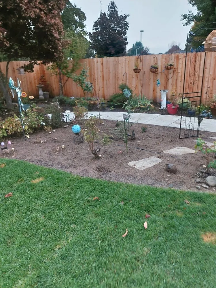Custom yard cleanup service in White City, OR by Kings Landscaping