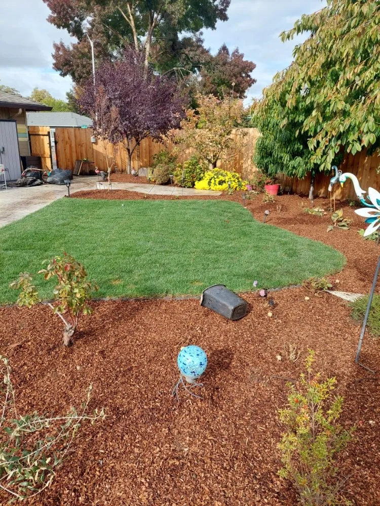 Reliable yard maintenance for year-round maintenance in White City, OR by Kings Landscaping