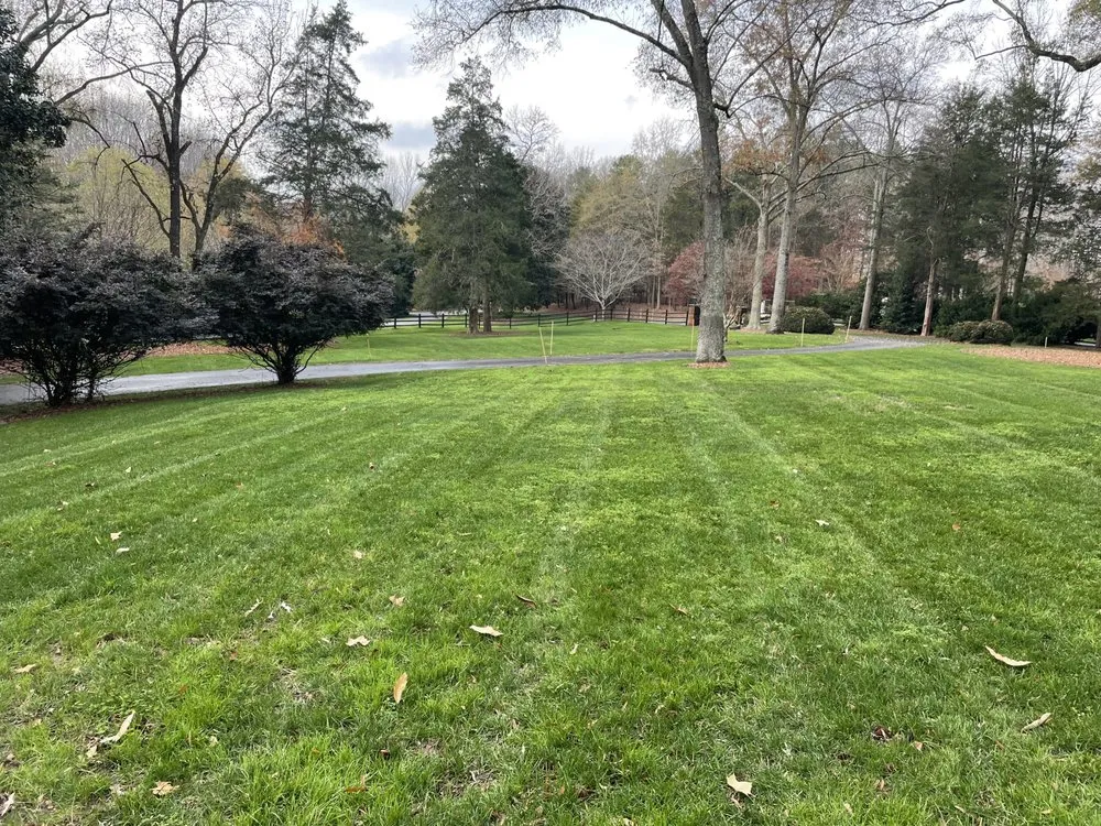 Trusted yard cleanup service in Waxhaw, NC by King's Lawn & Landscape