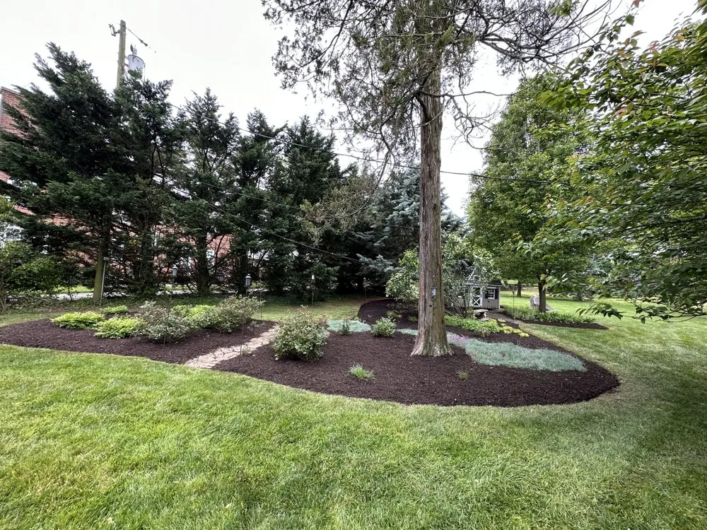Expert landscape installation for beautiful yards in Waxhaw, NC by King's Lawn & Landscape