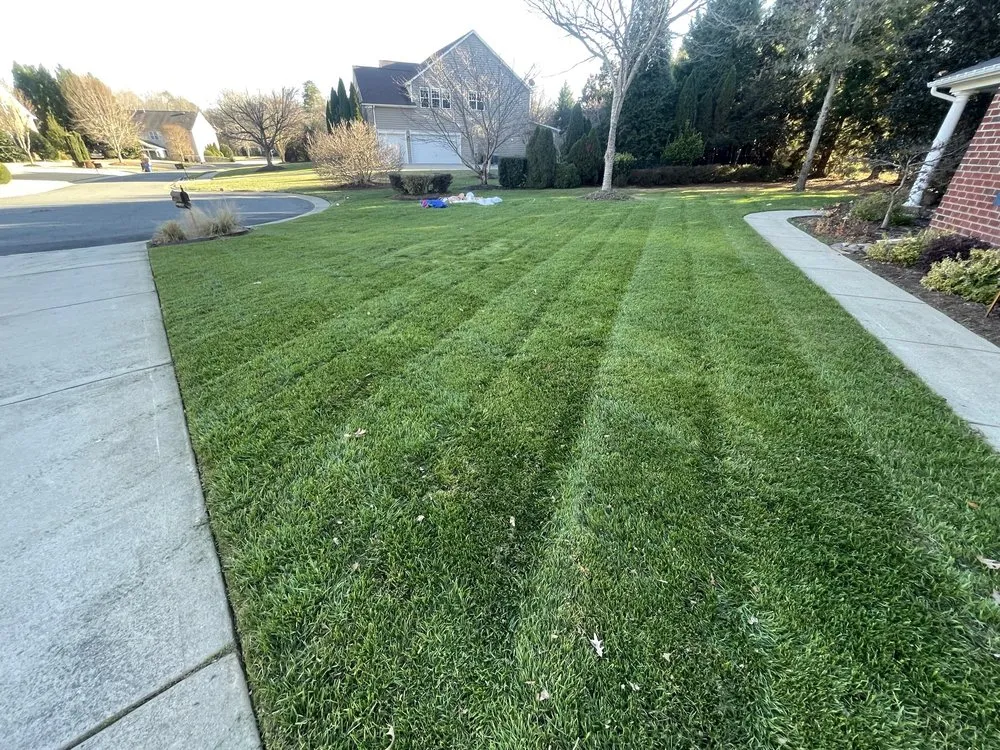 Top-rated outdoor landscaping for homes in Waxhaw, NC by King's Lawn & Landscape