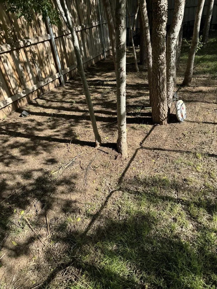 Expert residential landscaping in Amarillo, TX by Kings Lawn