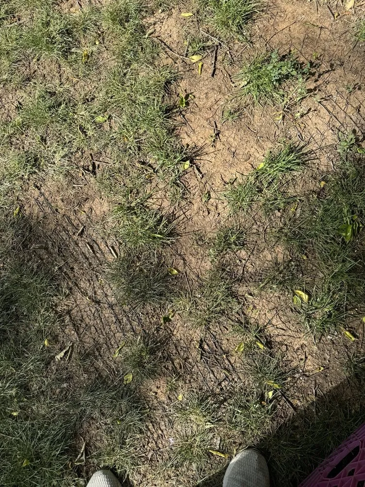 Local landscape installation for homes in Amarillo, TX by Kings Lawn