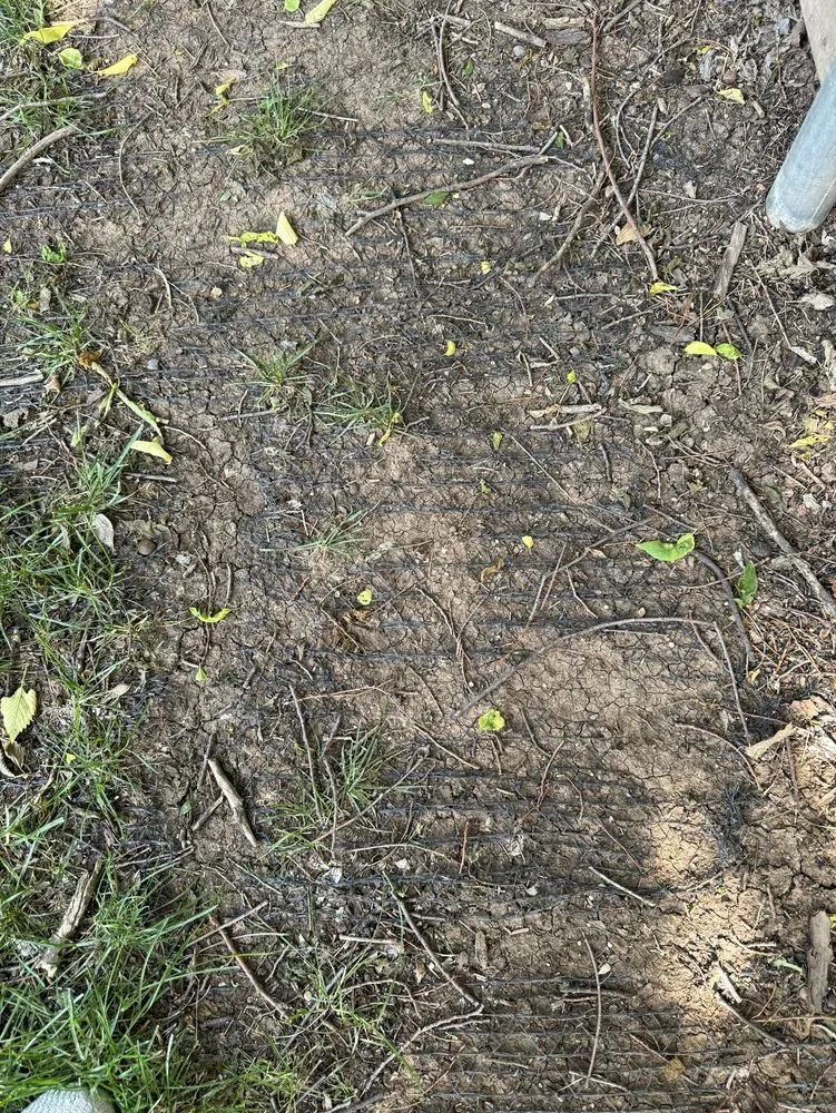 Professional yard maintenance in Amarillo, TX - Kings Lawn