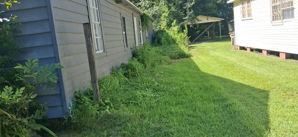 Top-rated landscape design in Mobile, AL - King's Lawn and Home