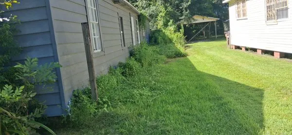 King's Lawn and Home Logo