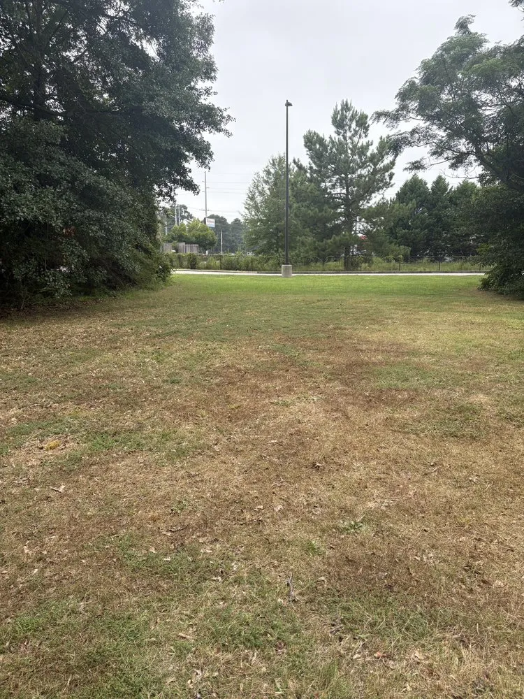 Custom lawn mowing service in Fayetteville, NC - Kings Lawn and Landscape