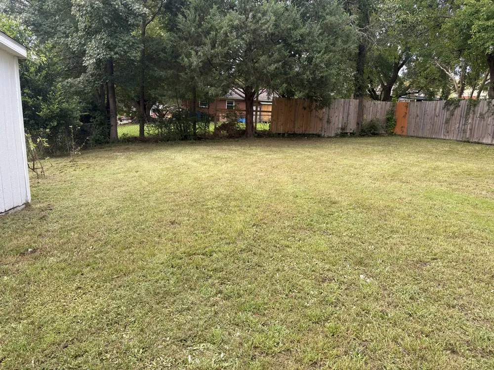 Affordable landscape design in Fayetteville, NC - Kings Lawn and Landscape