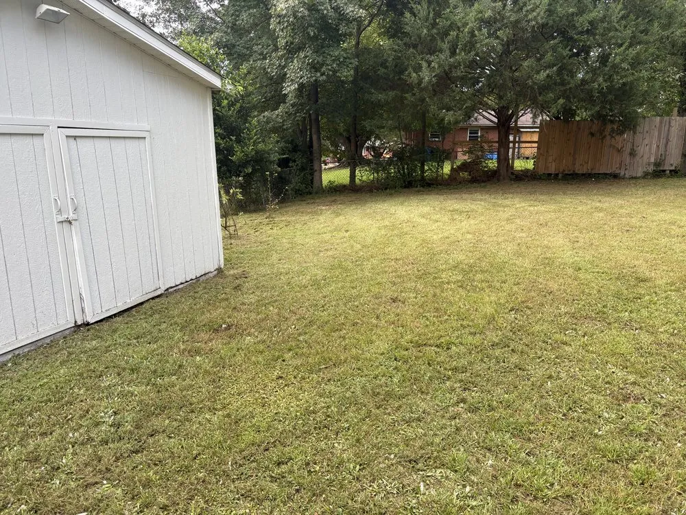 Professional yard maintenance in Fayetteville, NC - Kings Lawn and Landscape