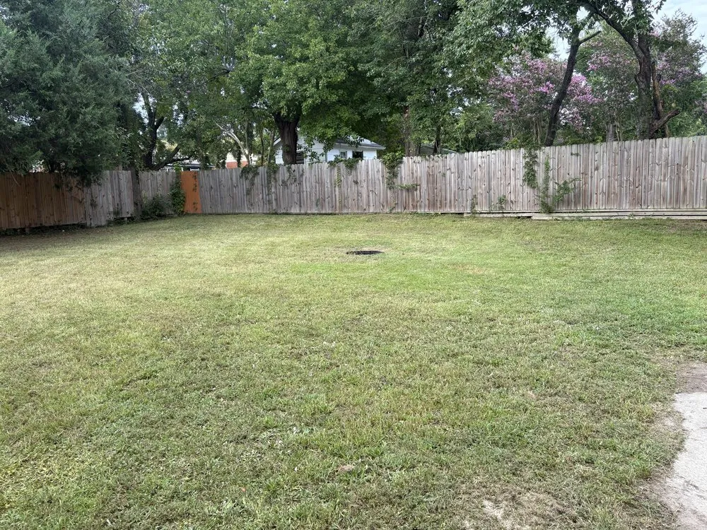 Trusted residential landscaping for homes across Fayetteville, NC - Kings Lawn and Landscape