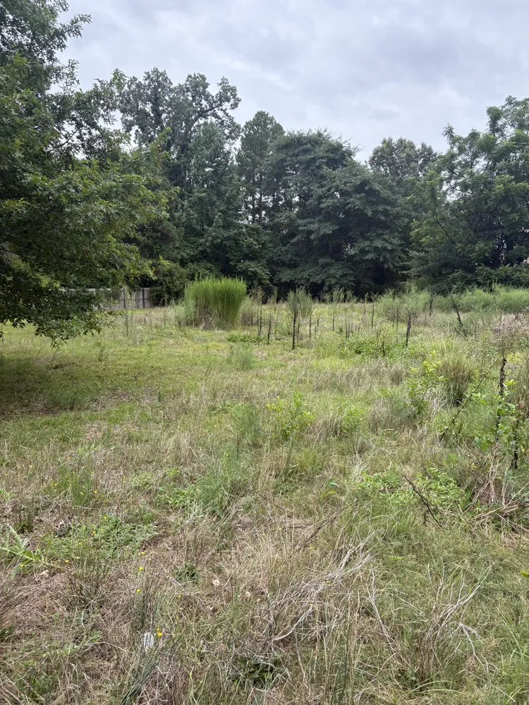 Expert outdoor landscaping experts serving Fayetteville, NC - Kings Lawn and Landscape