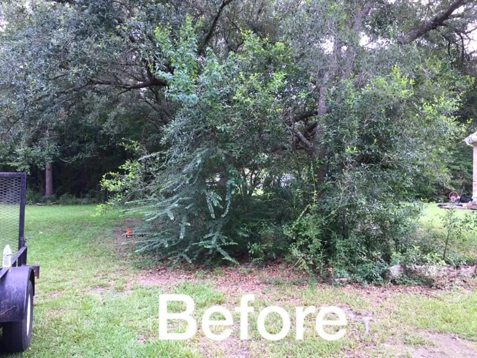 Top-rated residential landscaping in Saucier, MS by Kings Lawn Care and Landscaping