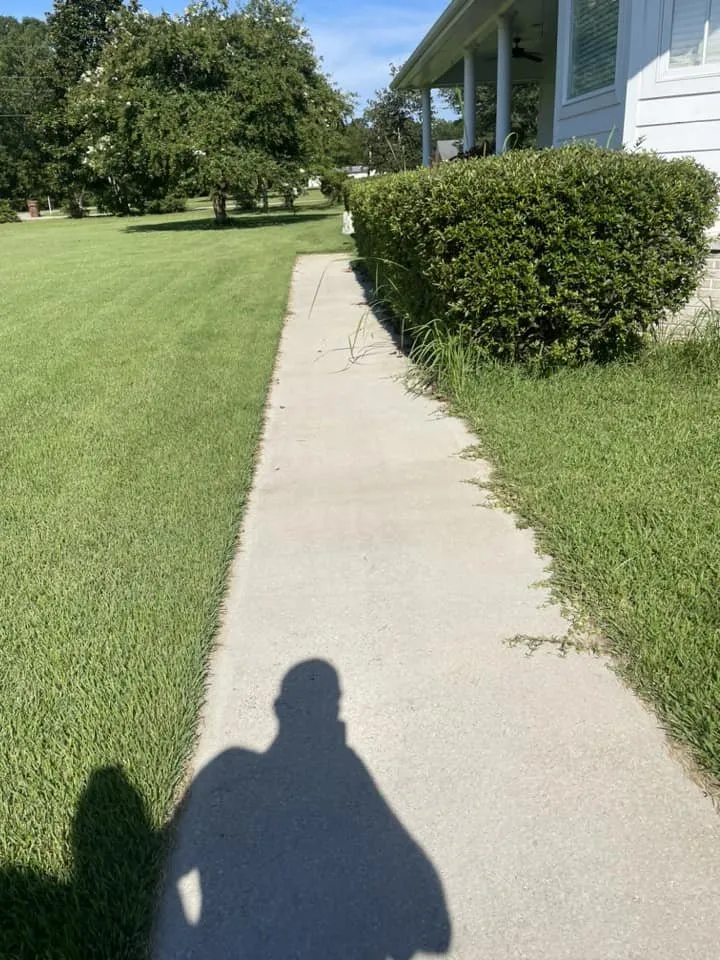 Expert landscaping services in Saucier, MS - Kings Lawn Care and Landscaping