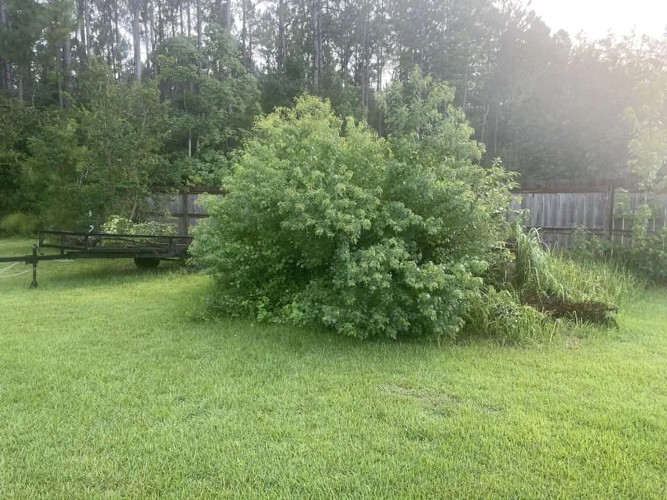 Custom landscape installation in Saucier, MS - Kings Lawn Care and Landscaping