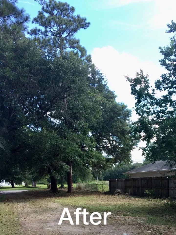 Reliable landscape design experts serving Saucier, MS - Kings Lawn Care and Landscaping