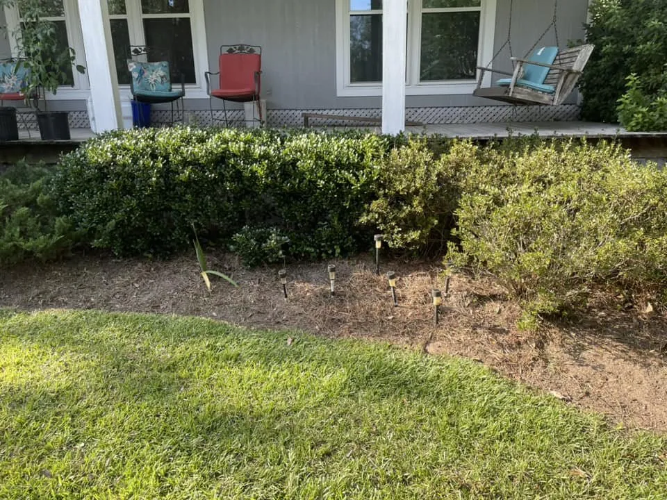 Professional landscape design in Saucier, MS by Kings Lawn Care and Landscaping