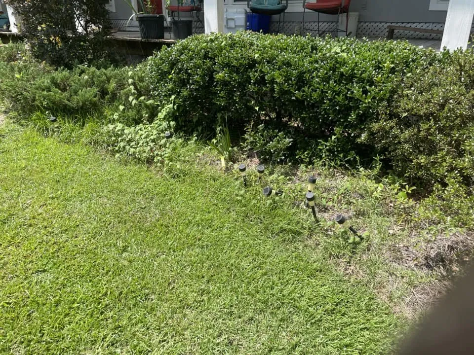 Expert landscape installation experts serving Saucier, MS - Kings Lawn Care and Landscaping