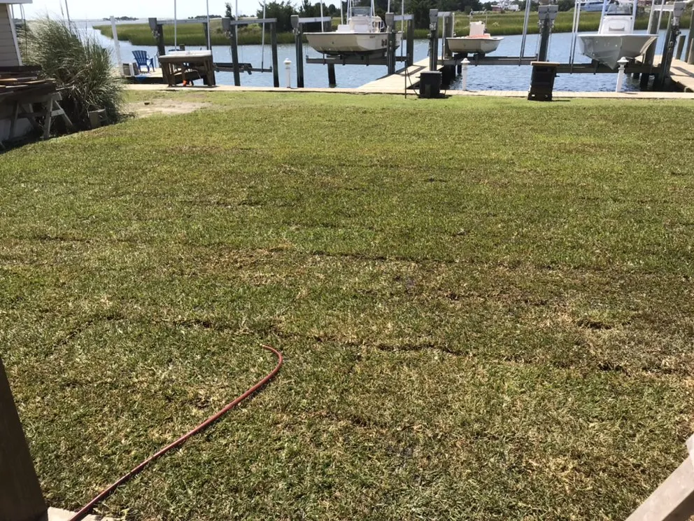 Trusted yard cleanup service for residential properties across Stantonsburg, NC - King's Lawn Care and Landscaping