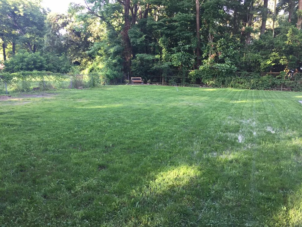 Top-rated residential landscaping in Stantonsburg, NC by King's Lawn Care and Landscaping