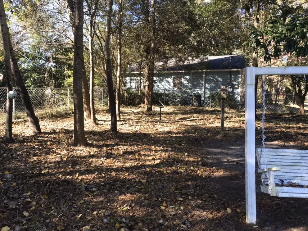 Reliable yard cleanup service experts serving Stantonsburg, NC - King's Lawn Care and Landscaping